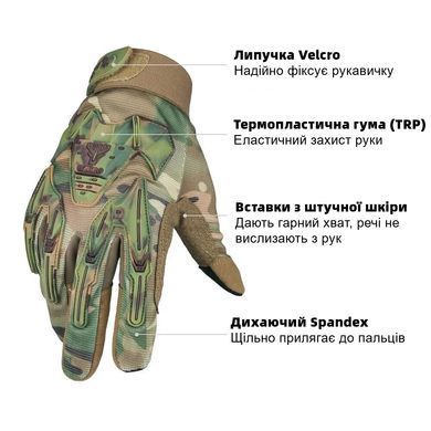 , Multicam, L