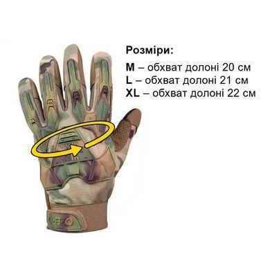 , Multicam, L