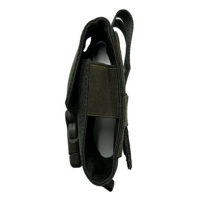 Підсумок для гранати Olive