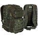 , Flecktarn