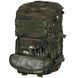 , Flecktarn