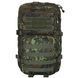 , Flecktarn
