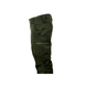 , Olive, 50