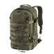Рюкзак Helikon-Tex RACCOON Mk2&reg; 24л Сірий, Desert Night Camo