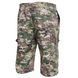 , Multicam, 40